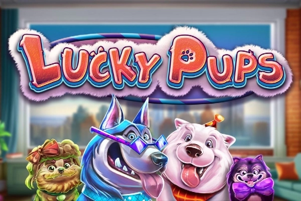07597 lucky pups